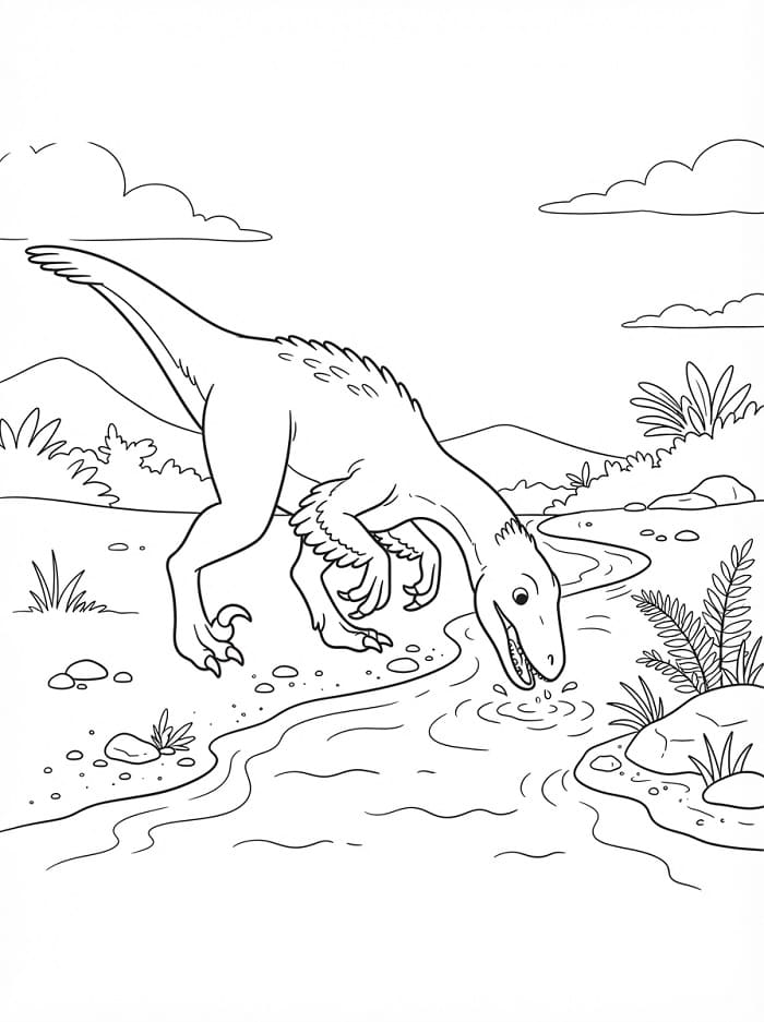 Omalovánka Velociraptor pijící vodu