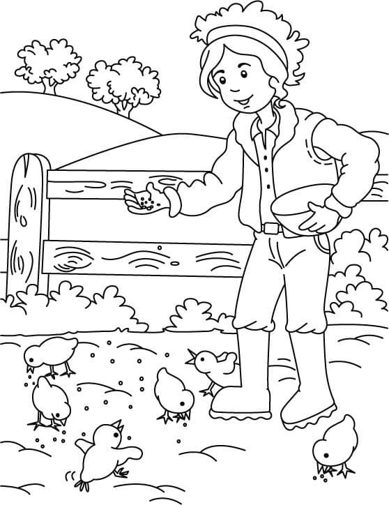Obrázek farmáře omalovánka