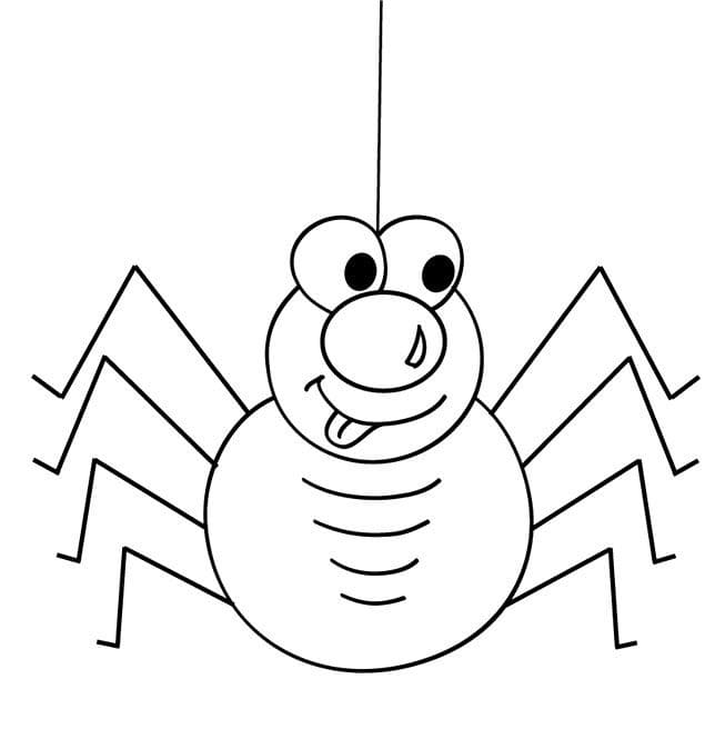 Pavouk pro 3leté děti omalovánka