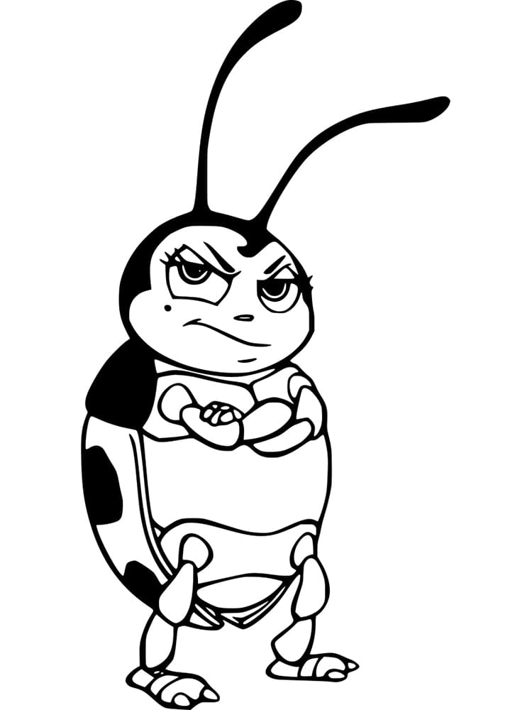 Život brouka (9) omalovánka