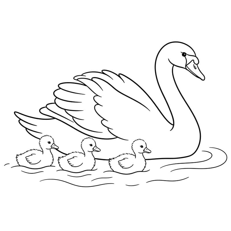 Cudná labuť omalovánka