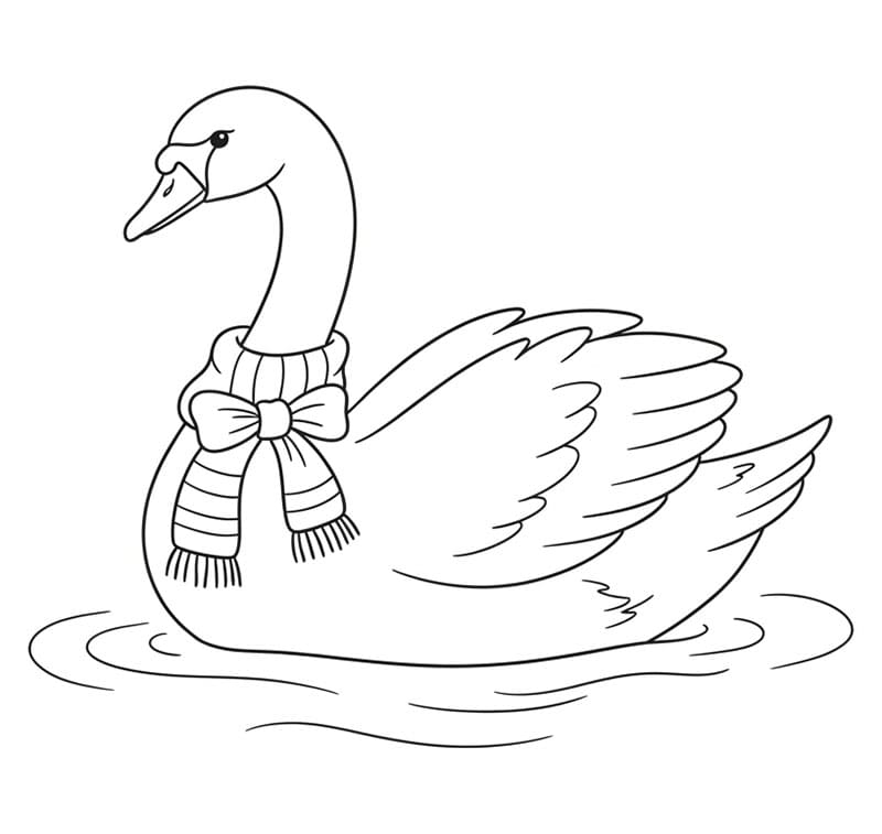 Krásná labuť omalovánka