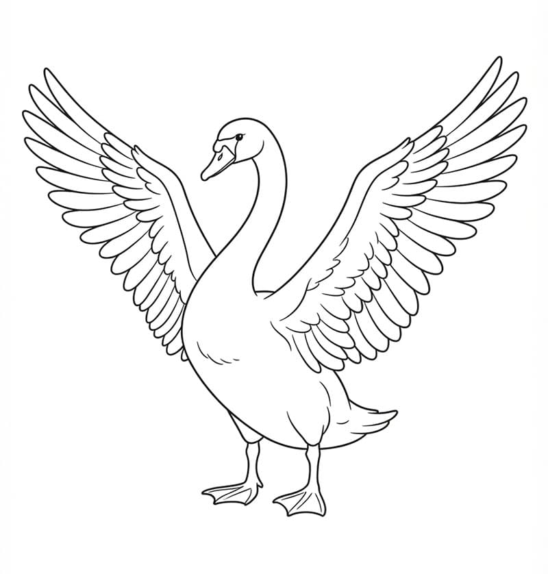 Labuť zadarmo omalovánka