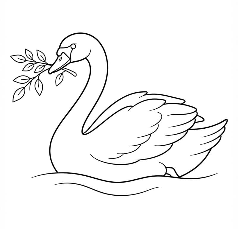 Snadná labuť omalovánka